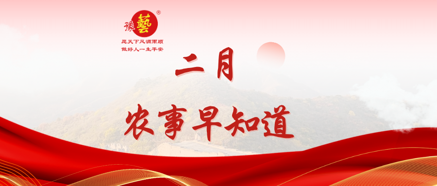 【種瓜種菜早知道】二月農事安排